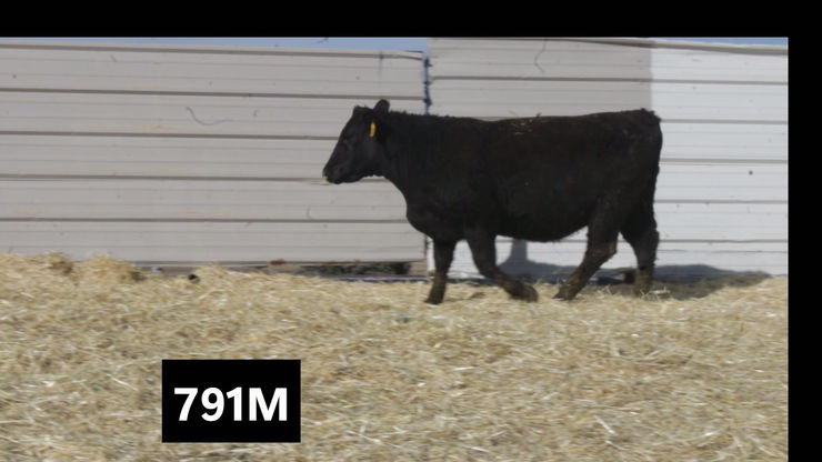 791m - Made with Clipchamp